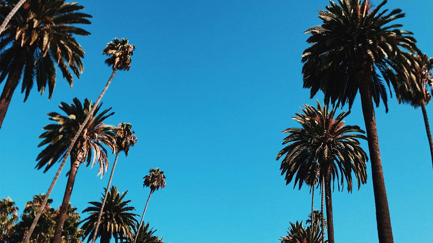 Gratis Baxter of California Travel Shampoo im Wert von 10 Euro