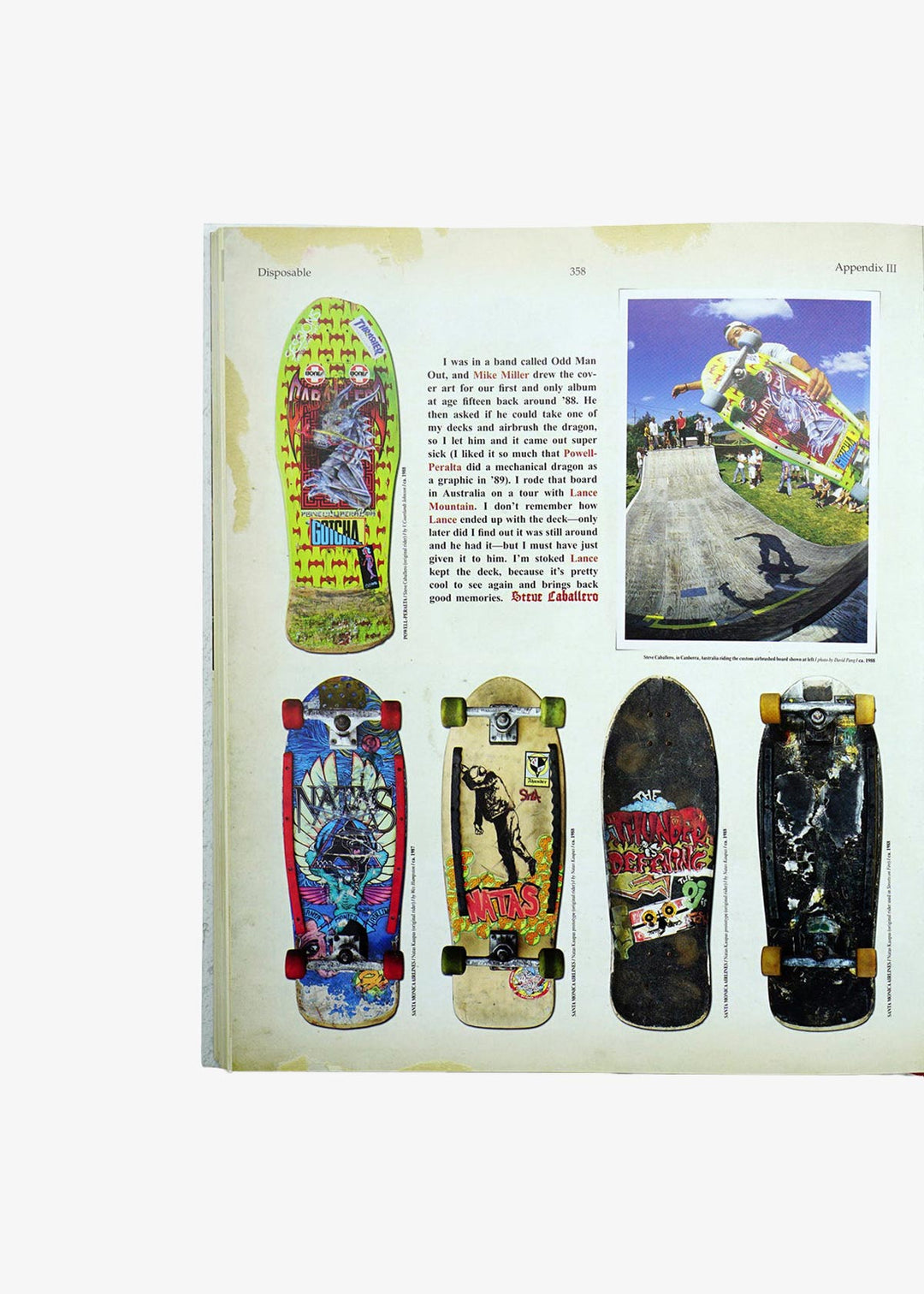 The Disposable Skateboard Bible - Buch von Sean Cliver – huehne.shop